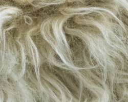 Fantasy Fur Plush beige shag rug texture, ideal for cozy living spaces. Maison Mermont.