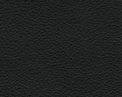 Close-up of textured black leather upholstery fabric for home furnishings. Maison Mermont.