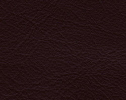 Rich brown leather texture for home furniture upholstery. Maison Mermont.
